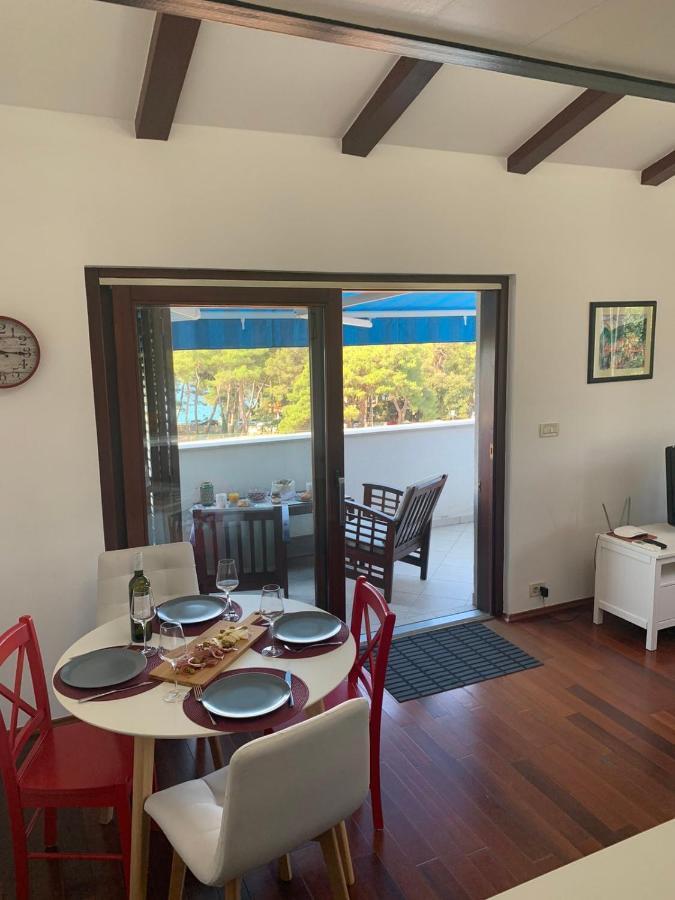 Seaside Petar Apartment